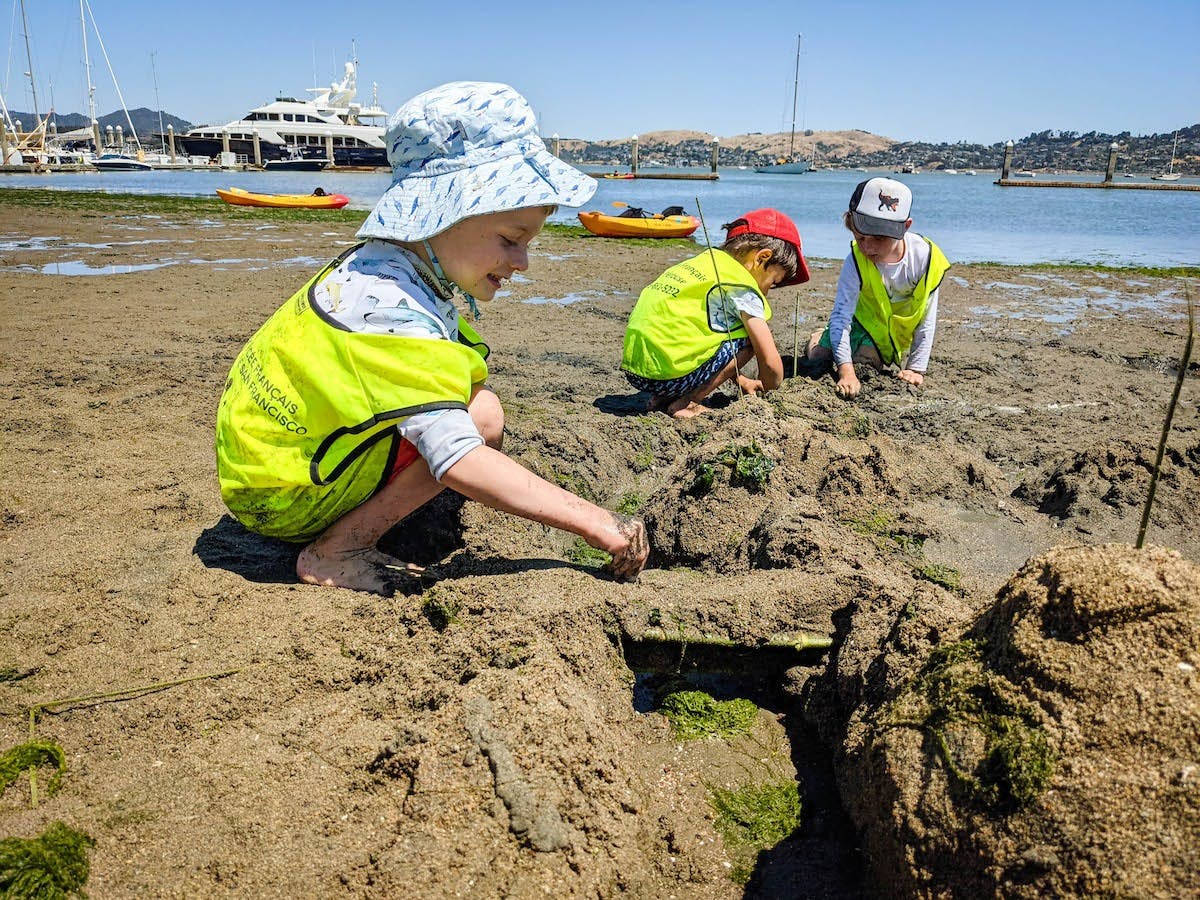 Lycee Francais de San Francisco Preschool in Sausalito, CA