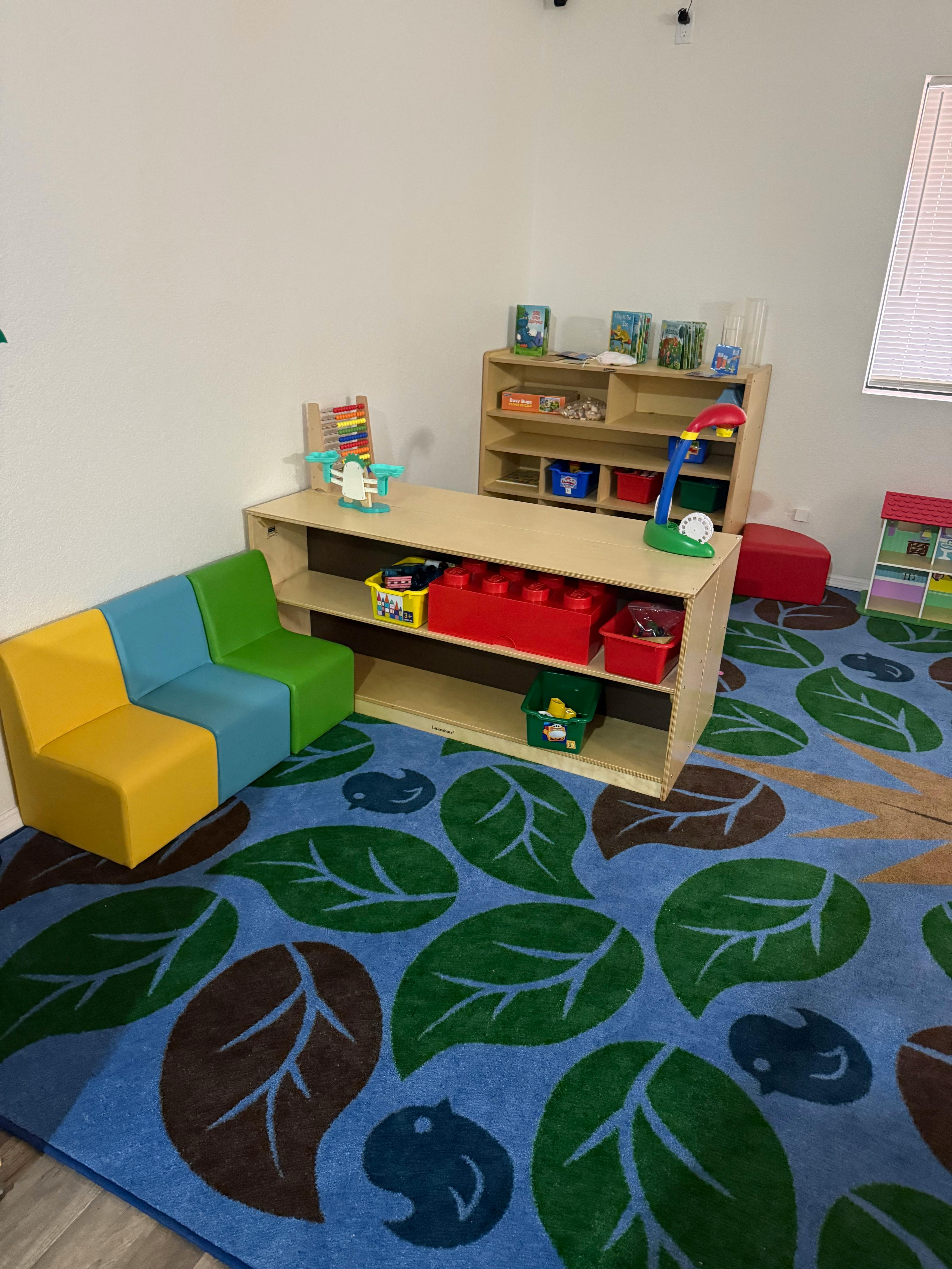 Playroom with colorful seating, shelves of toys, and a leaf-patterned rug