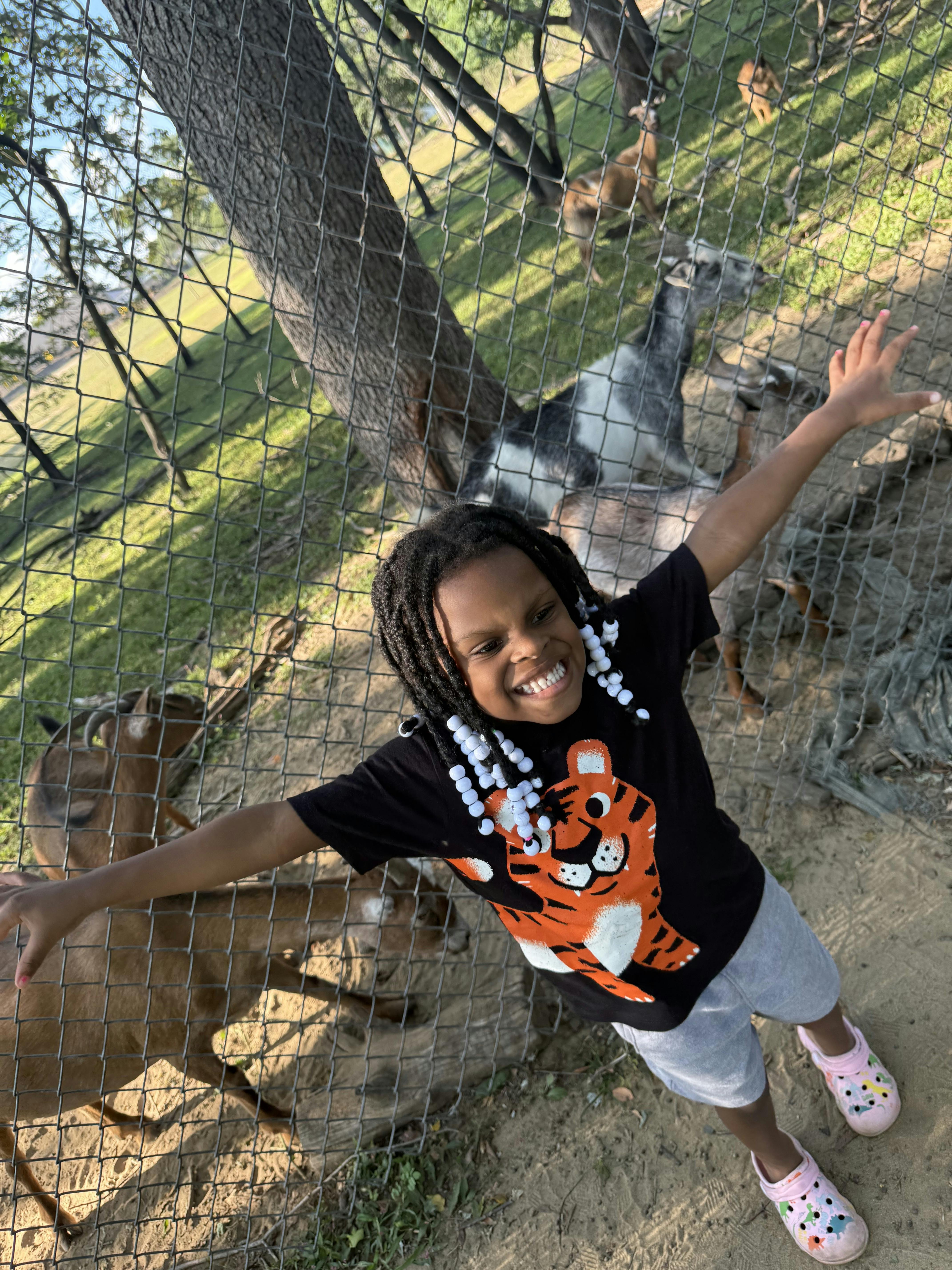 Child with arms outstretched in front of a fence with goats behind it