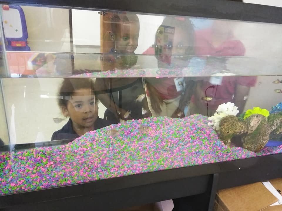 Child looking into a fish tank with colorful gravel