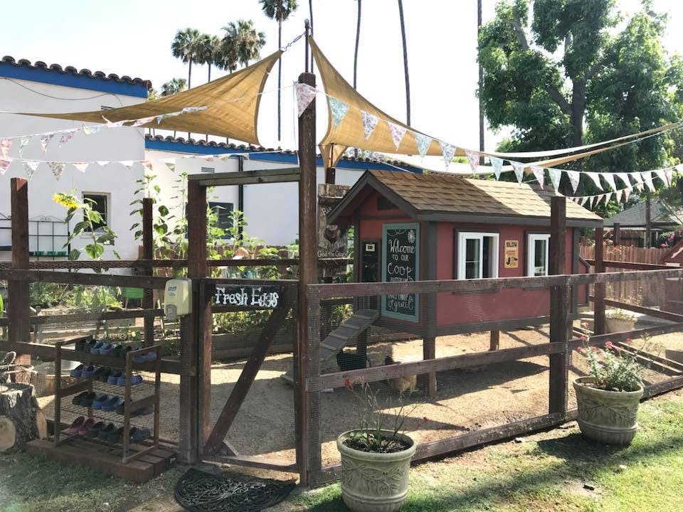 Chicken coop with a sign that says "Fresh Eggs"