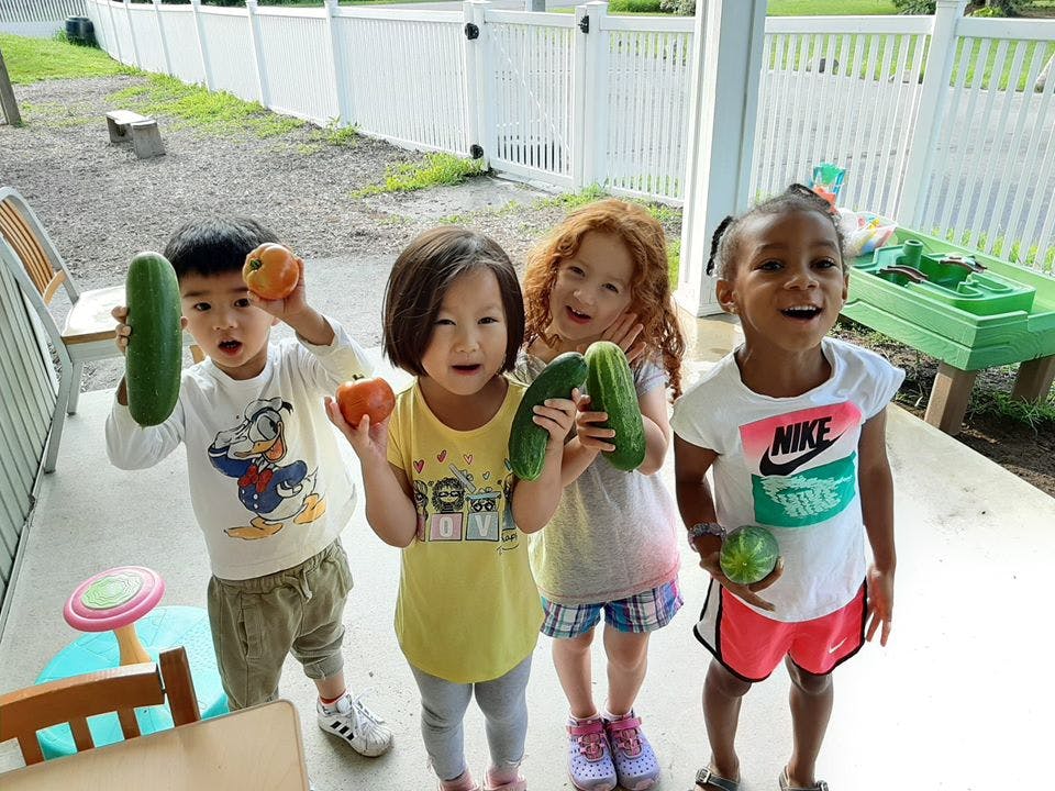 Four children holding vegetables and showing various vegetables and different vegetables