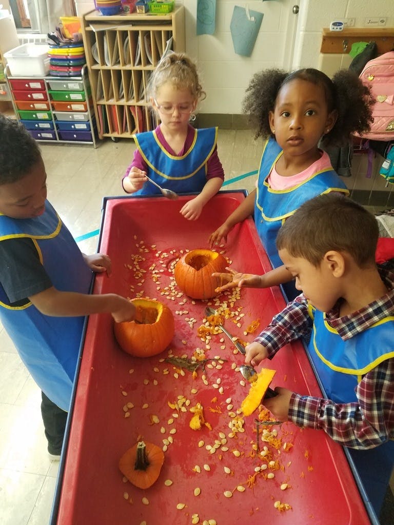 Children carving pumpkins in a classroom