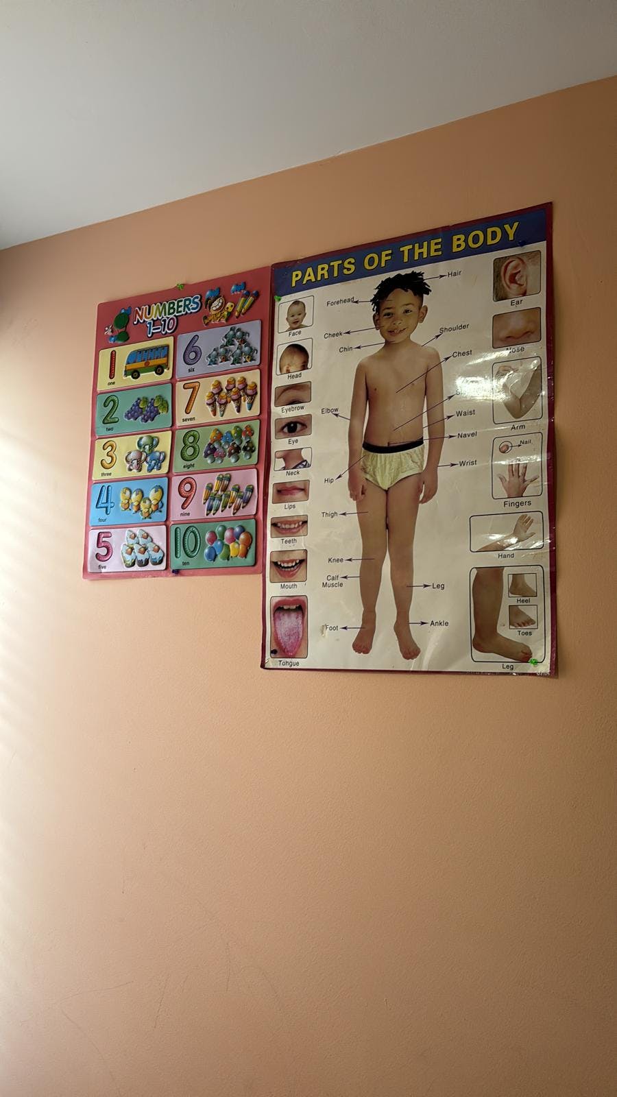 Number chart and a "Parts of the Body" chart featuring a child