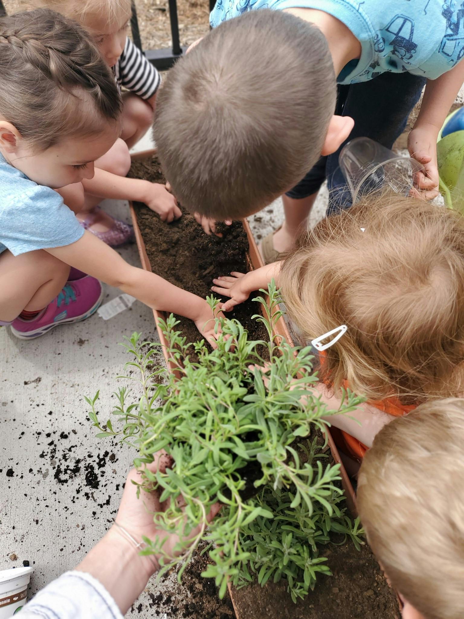Children planting in a long planter box