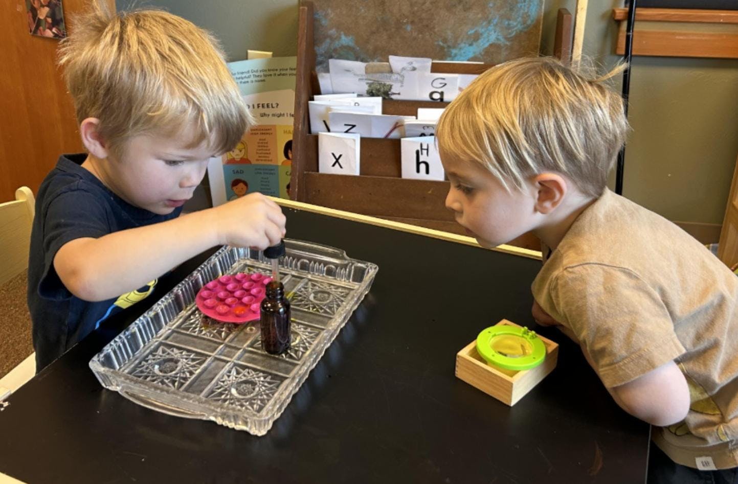 Mountain Meadows Montessori School in Bozeman, MT