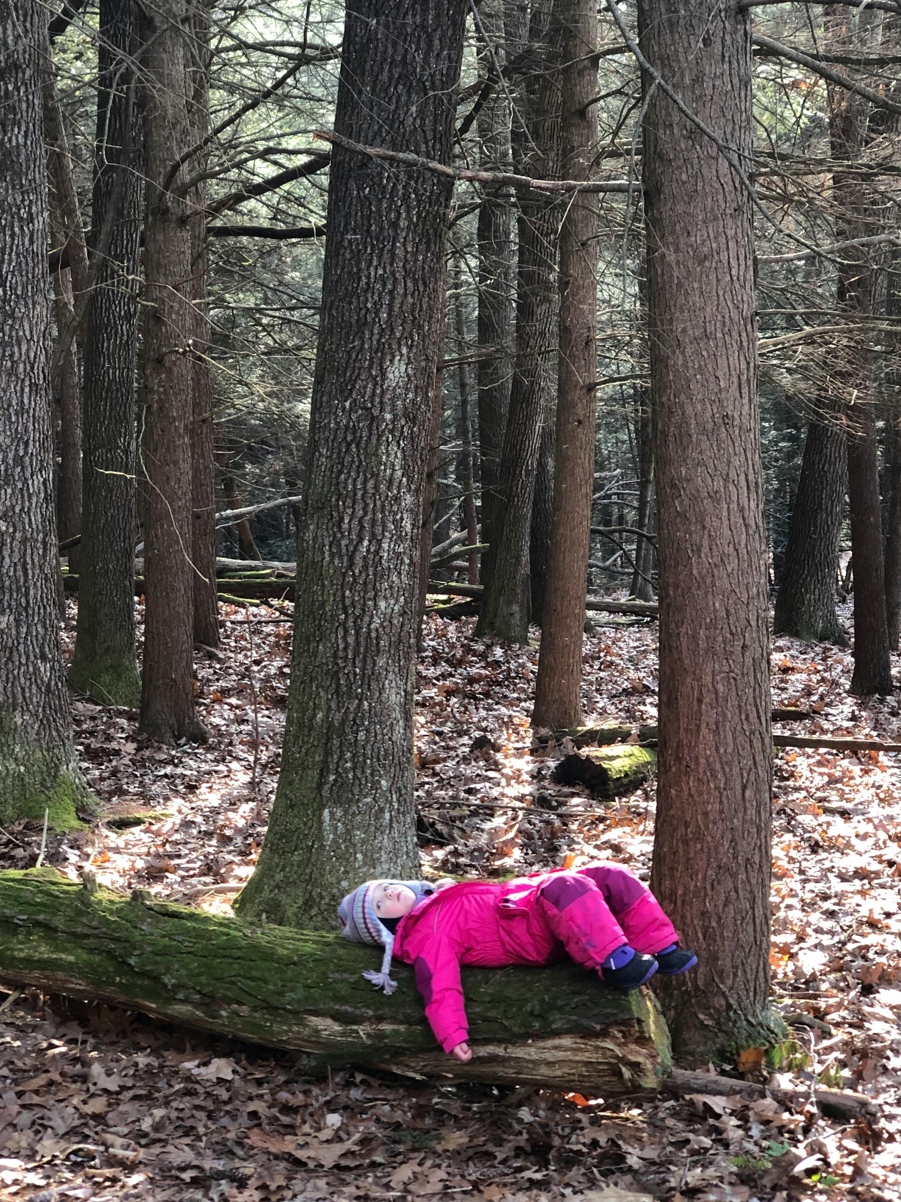 The Wizard School in Callicoon, NY
