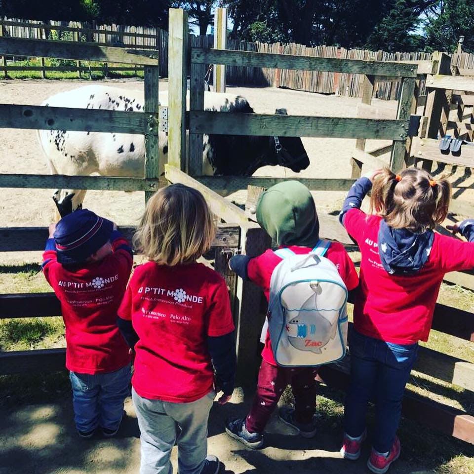 Children looking at animals in a fenced enclosure