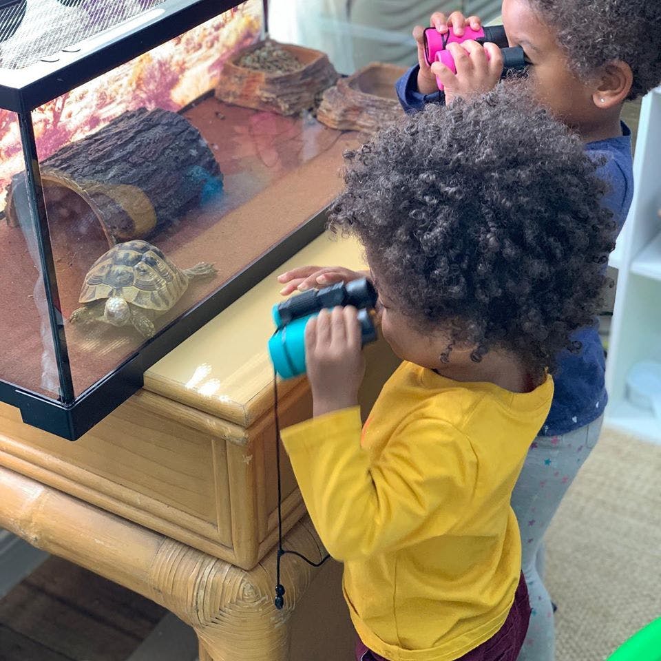 Child looking through binoculars at a turtle in a tank