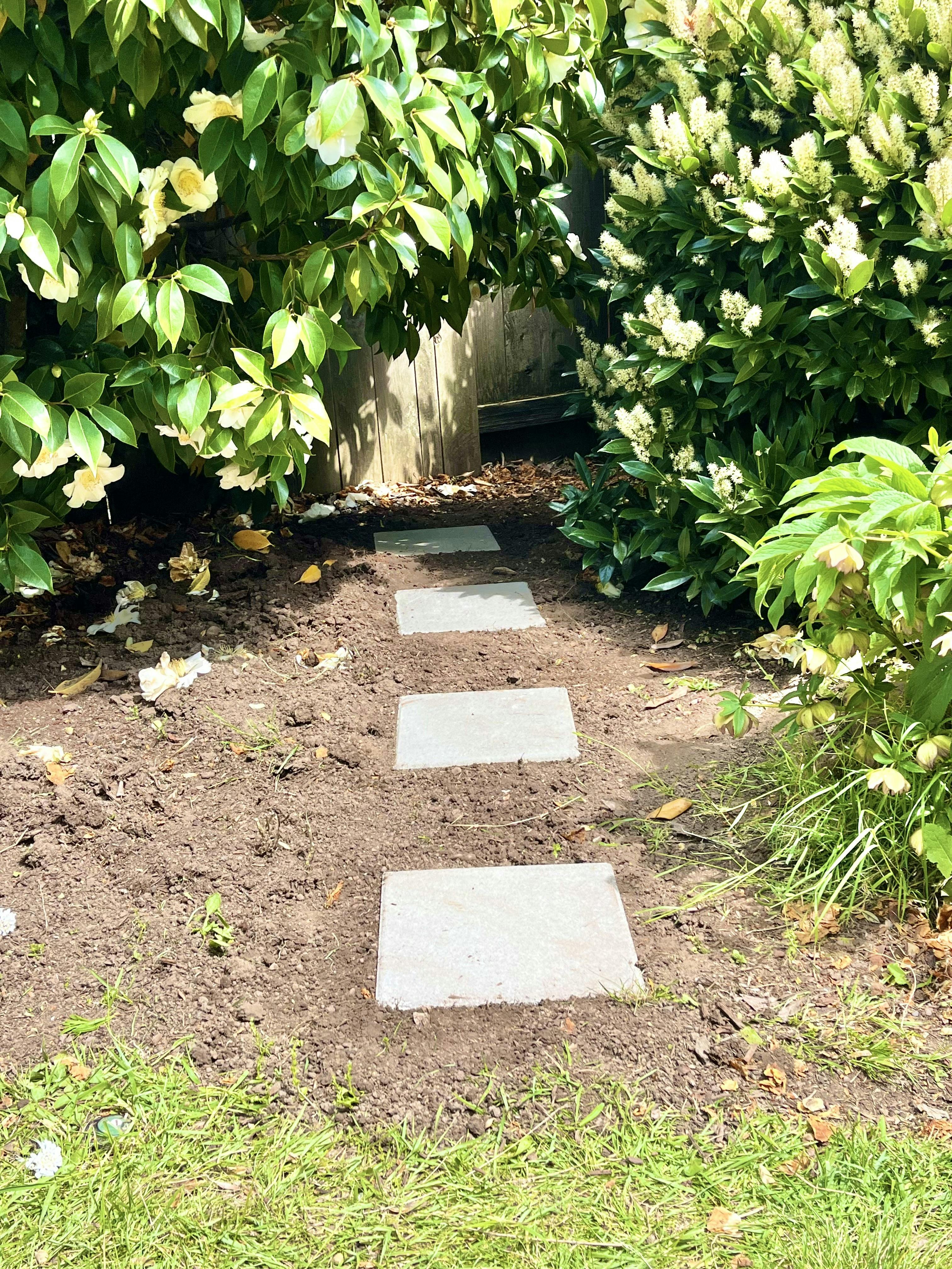 Stepping stones in a garden path
