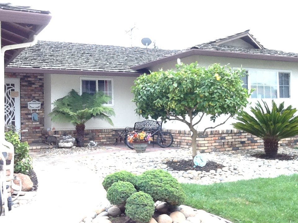 House exterior with a small tree, shrubs, and a decorative bicycle planter