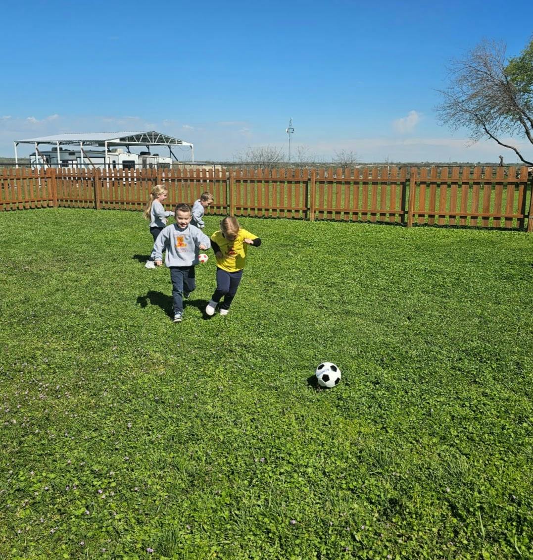 Children playing soccer on a grassy field