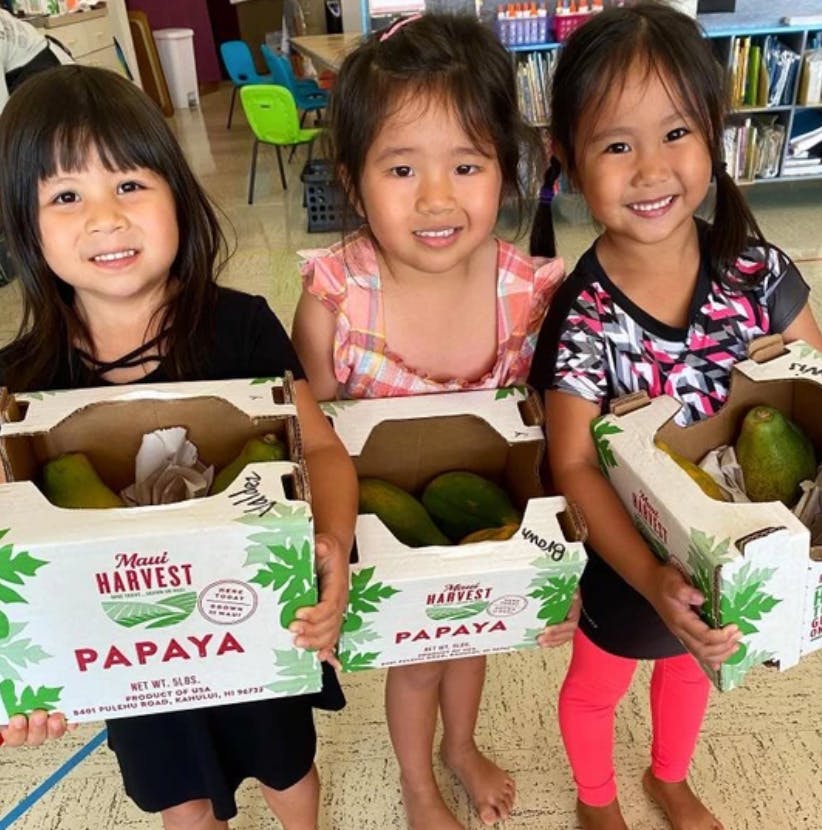 Three children holding boxes of papayas