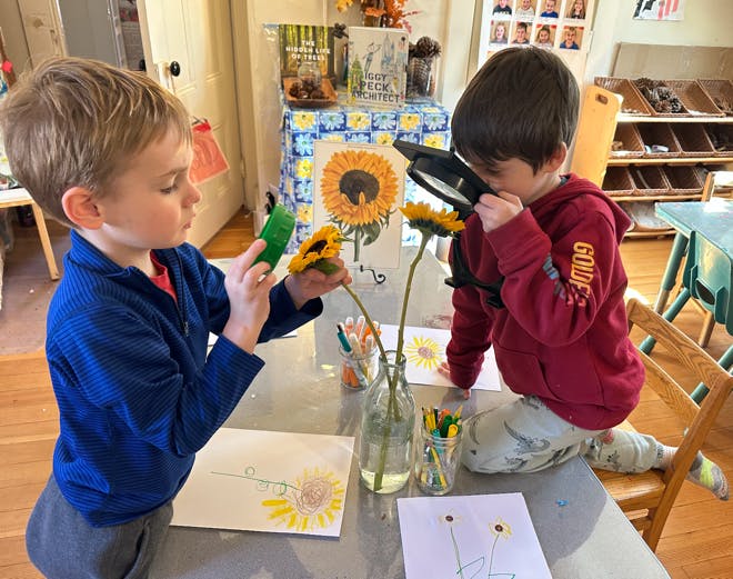 Two children examining sunflowers on a table