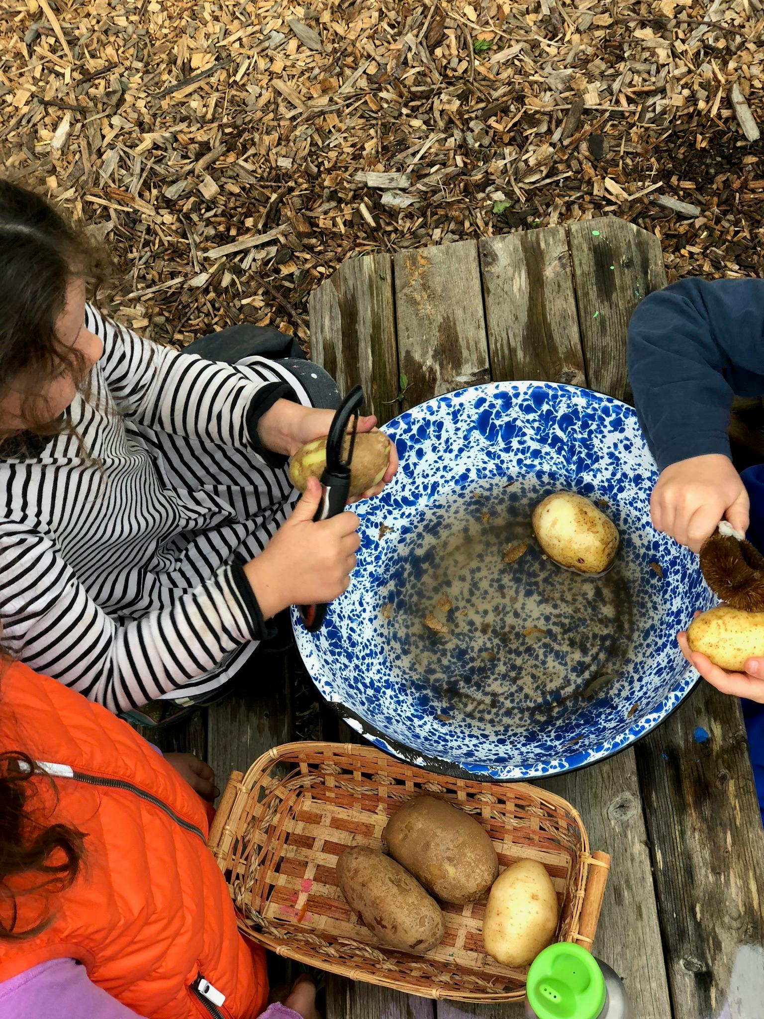 People peeling potatoes over a water basin
