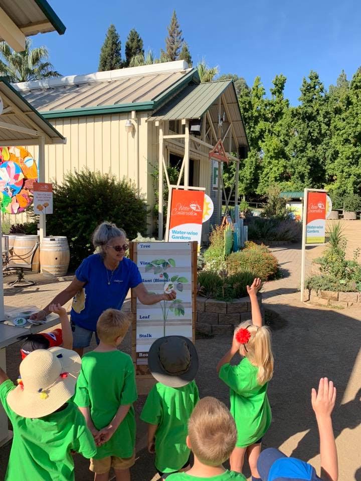 Adult person teaching a group of children outdoors