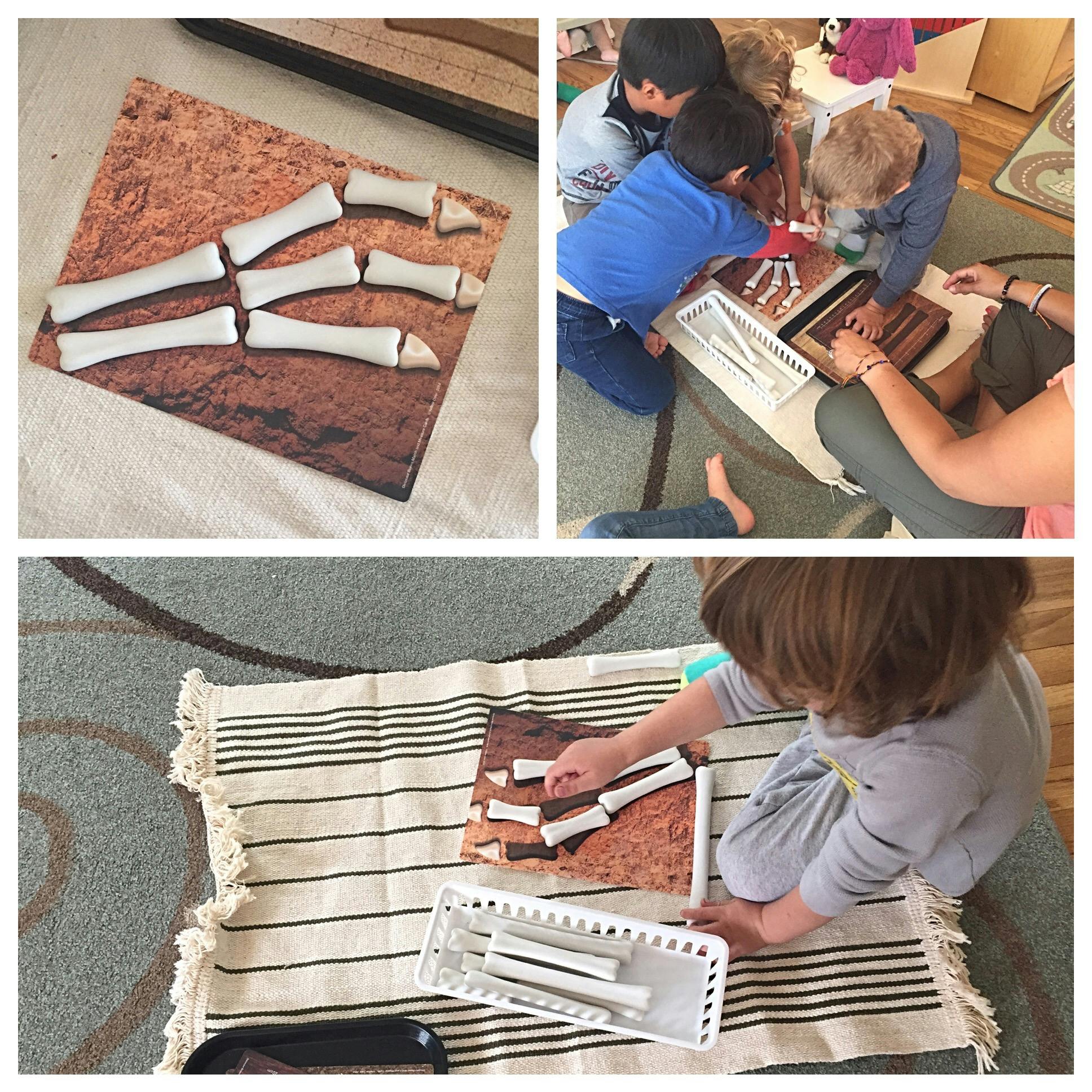 Collage of people assembling bone models and children playing with bone models