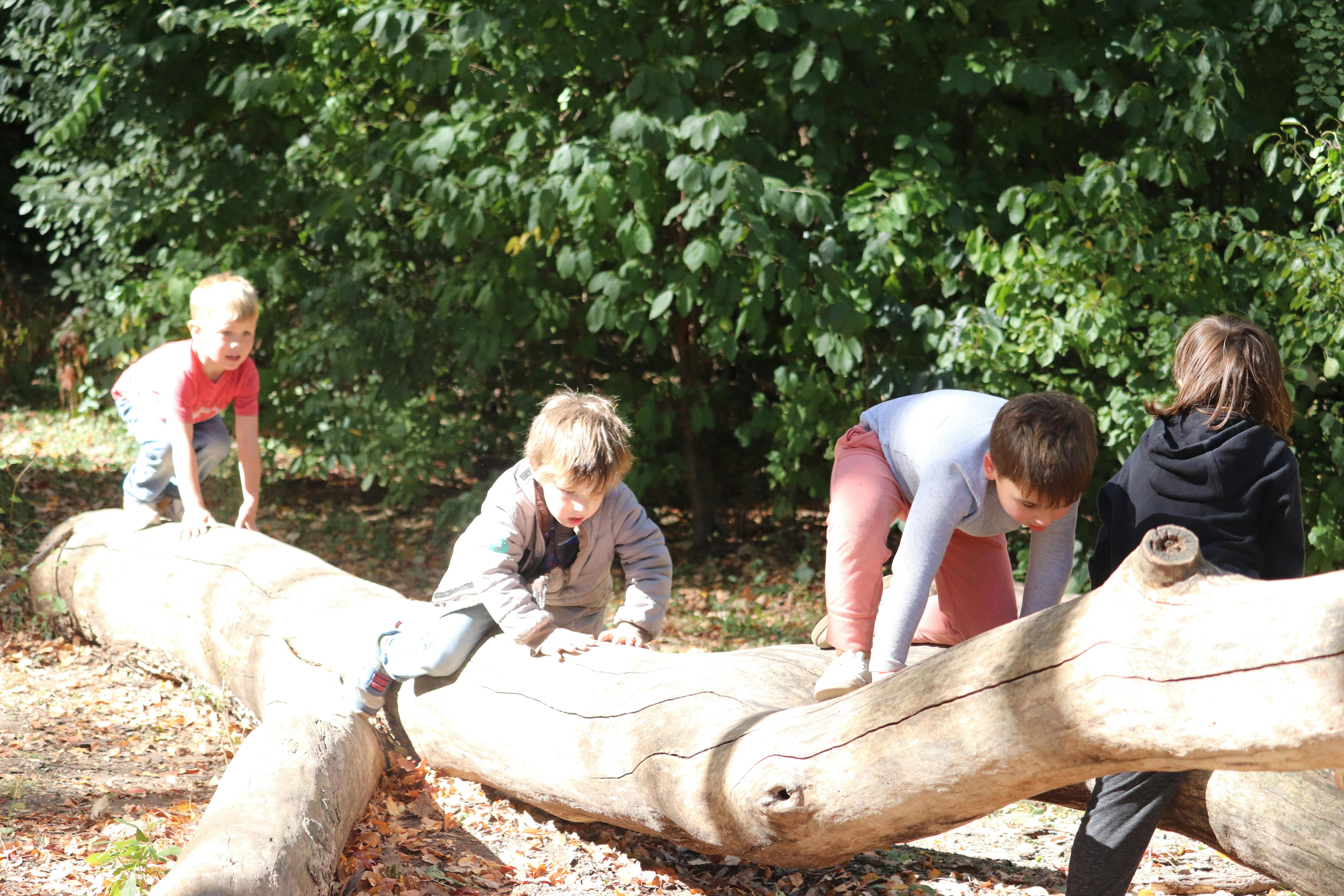Children climbing on a fallen log