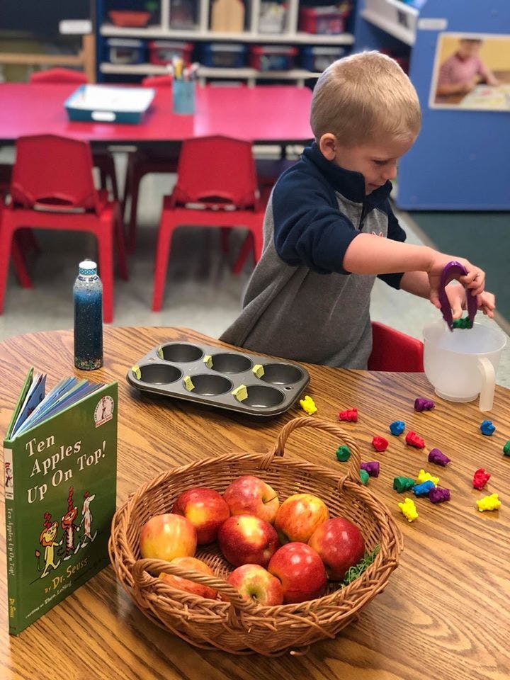 Child playing with colorful bear counters and a muffin tin