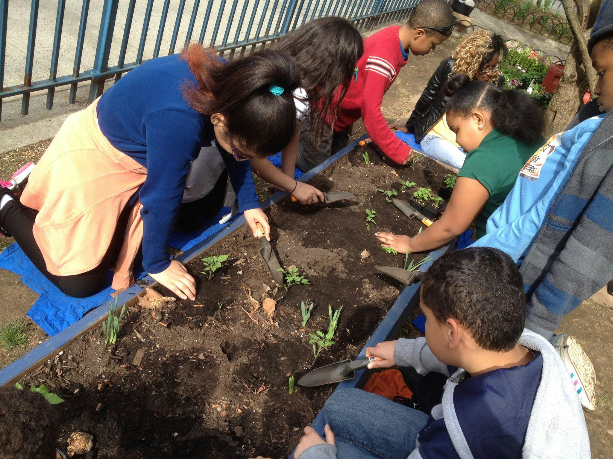 Multiple children planting in a raised garden bed