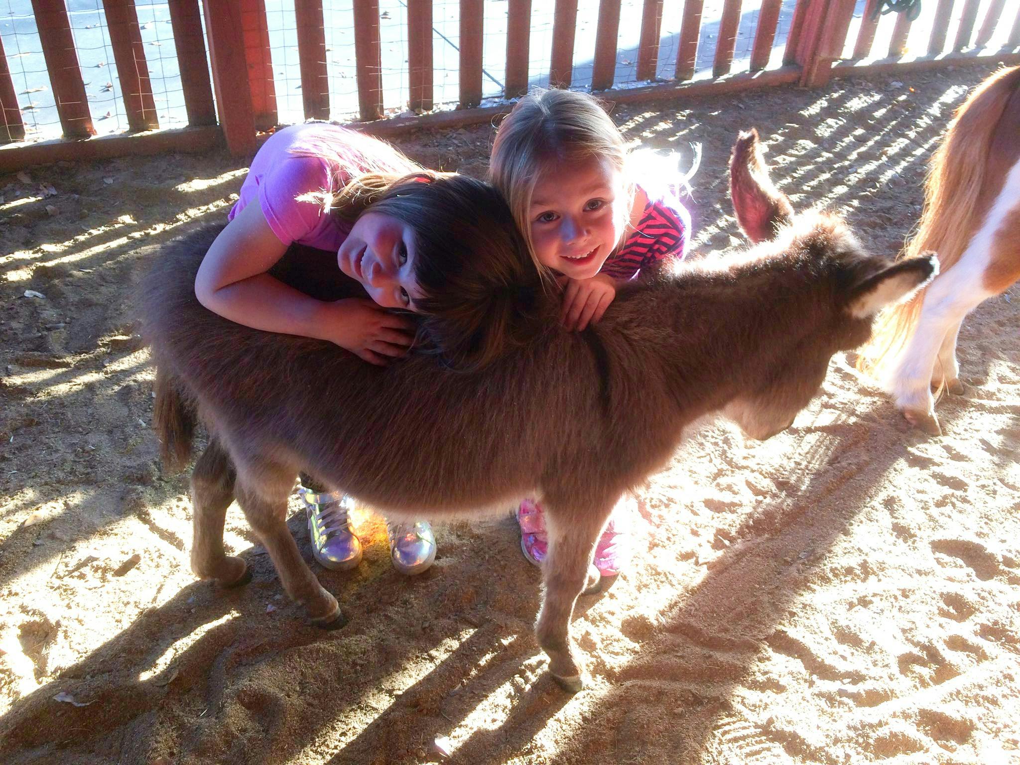 Two children hugging a small donkey