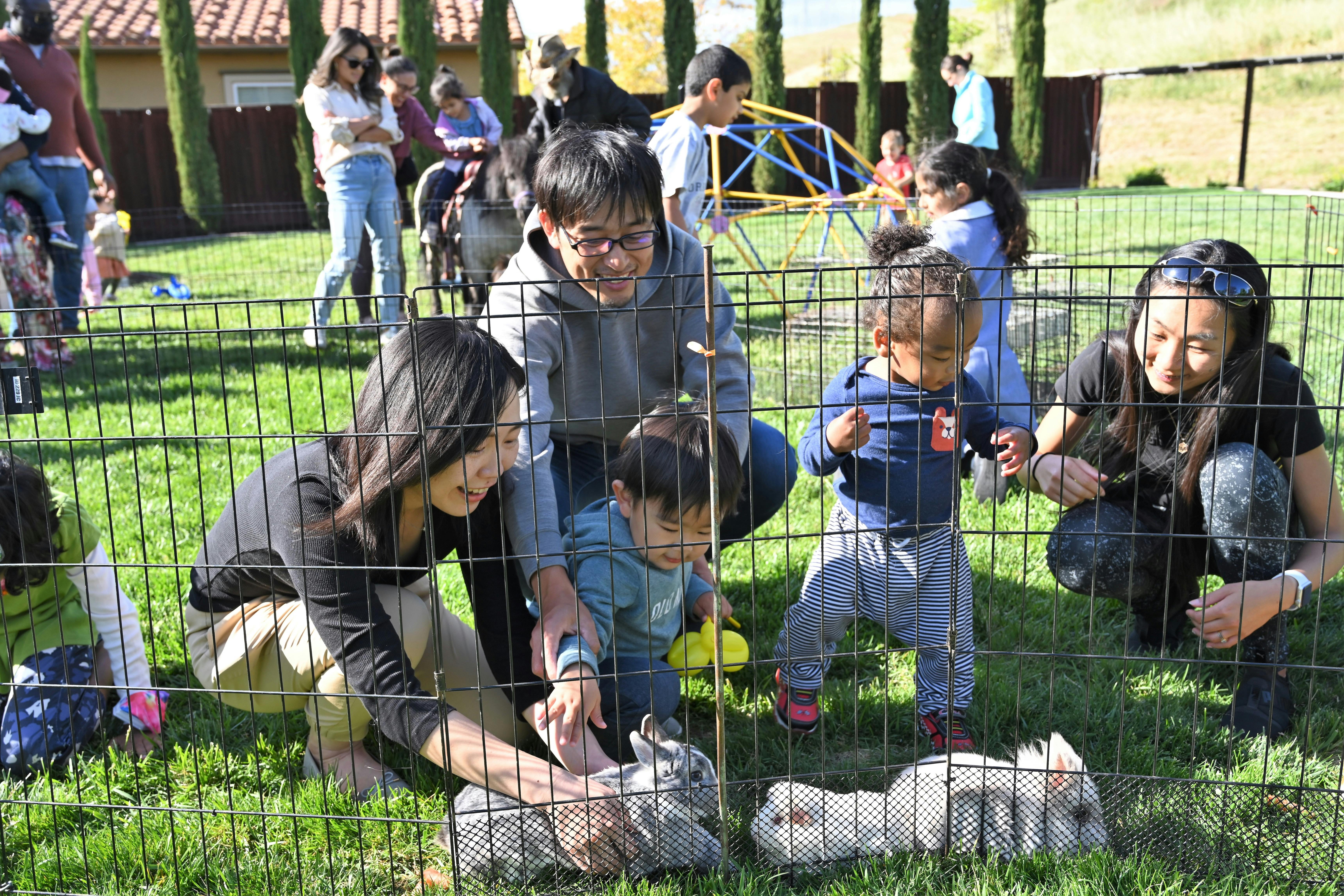 Adults and children interacting with rabbits in an outdoor enclosure