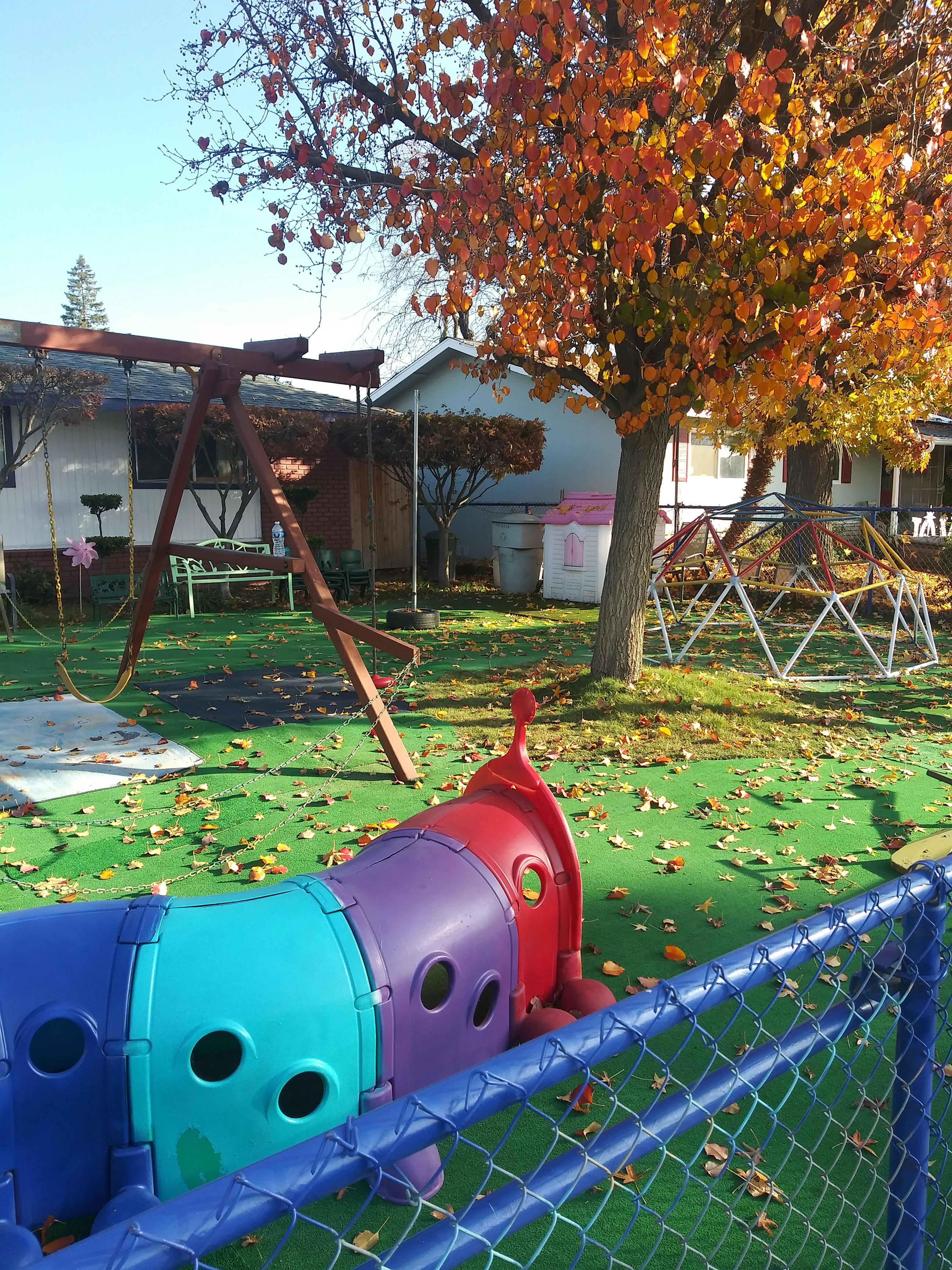 Playground with a colorful tunnel, swing set, and climbing dome