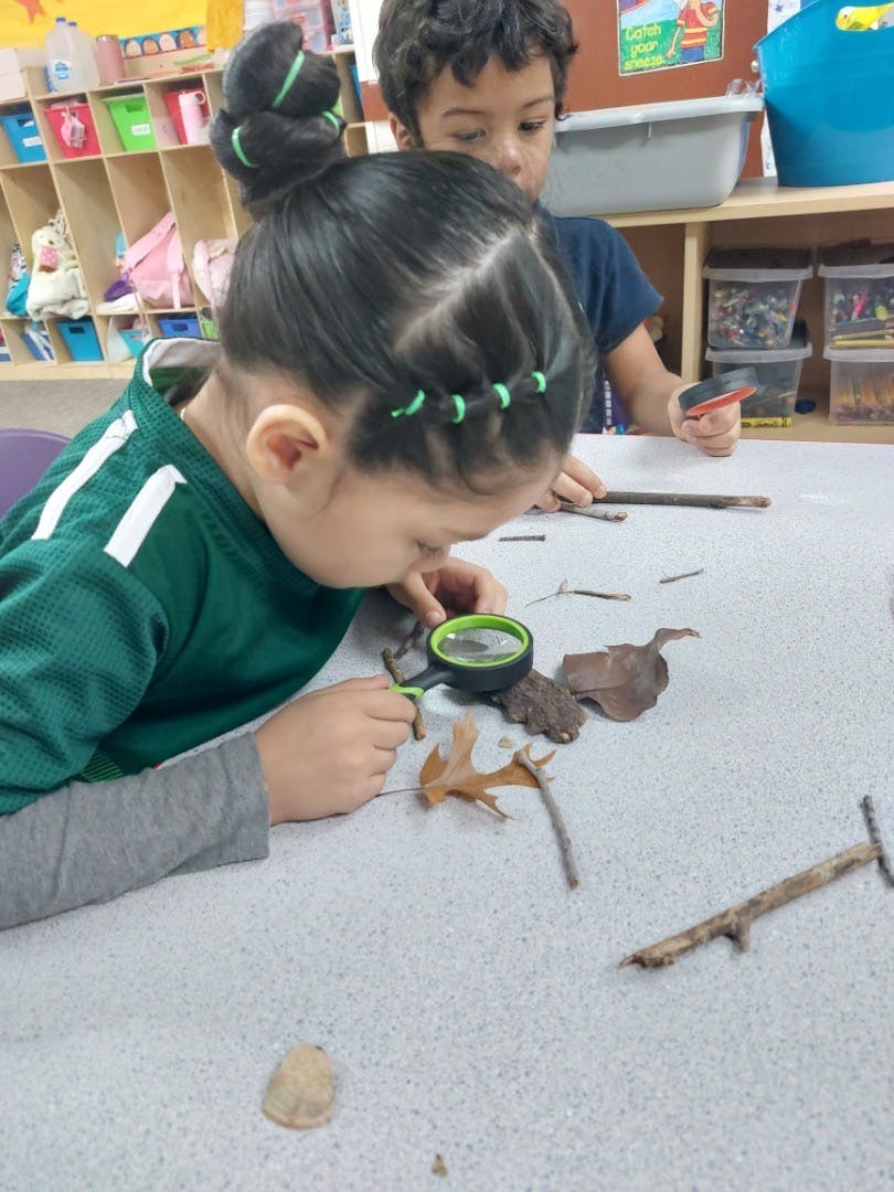 Child looking at leaves and sticks with a magnifying glass