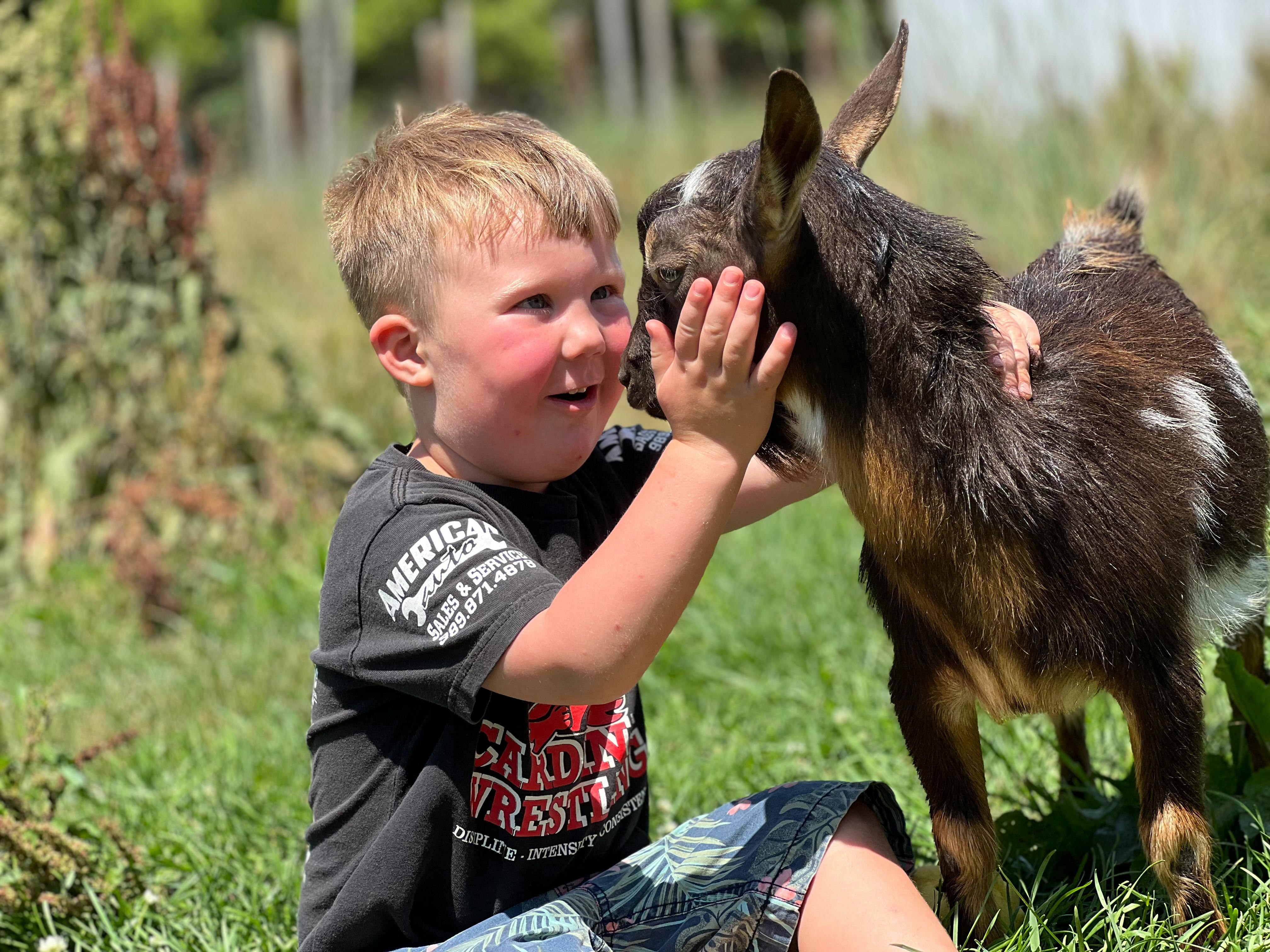 Child interacting with a goat