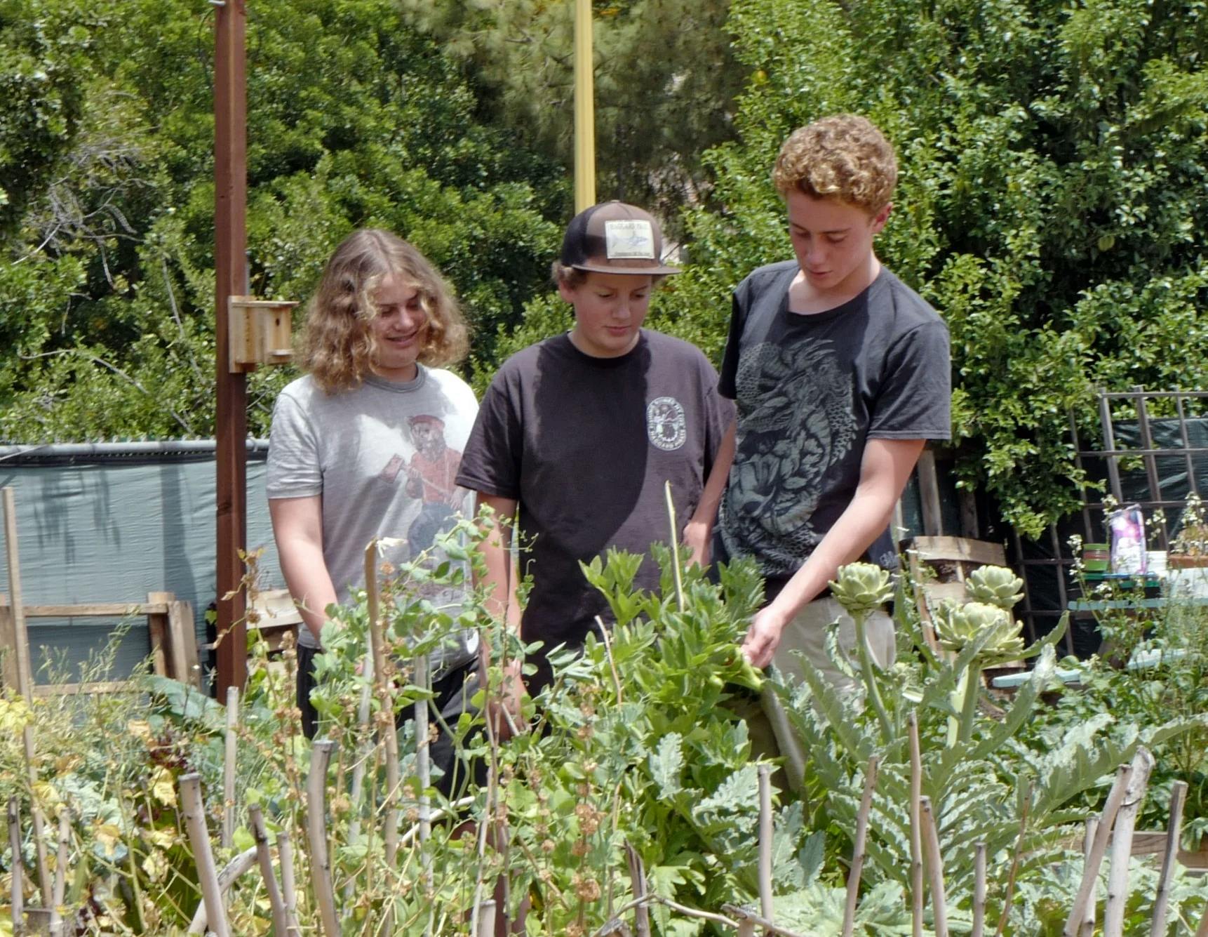 Three teens working in a garden