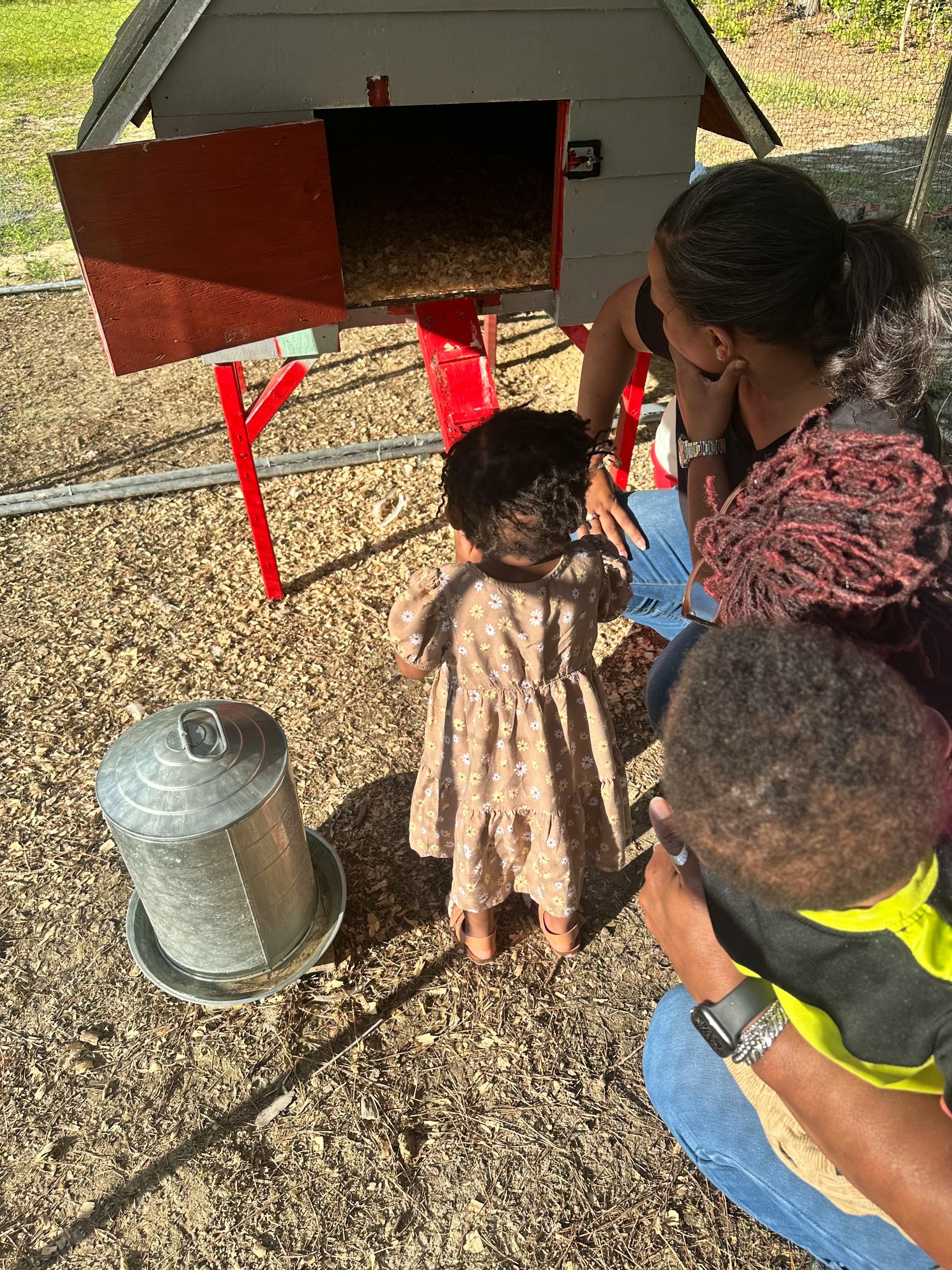 Adult and two children looking at a chicken coop
