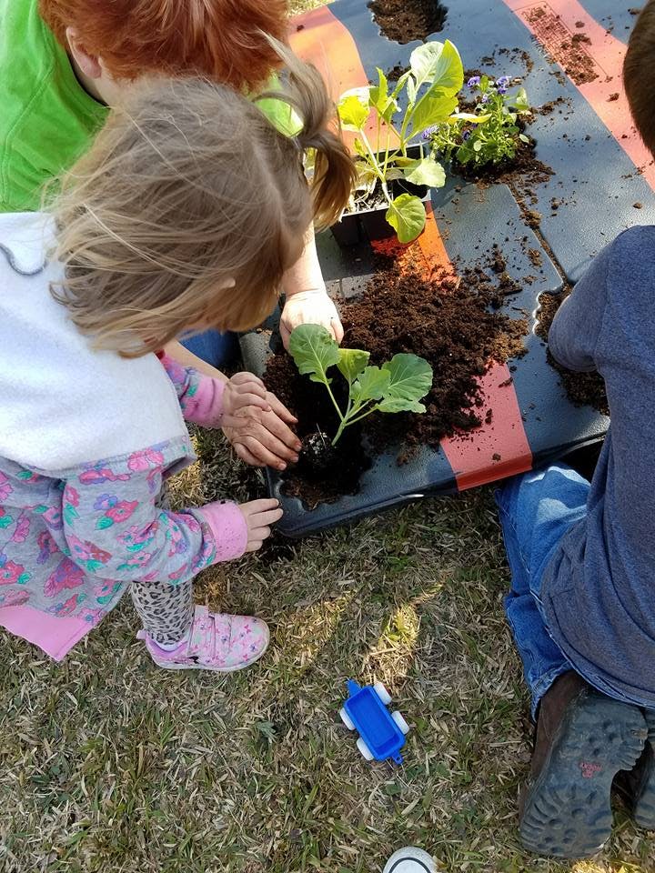 Child and person planting a seedling in soil