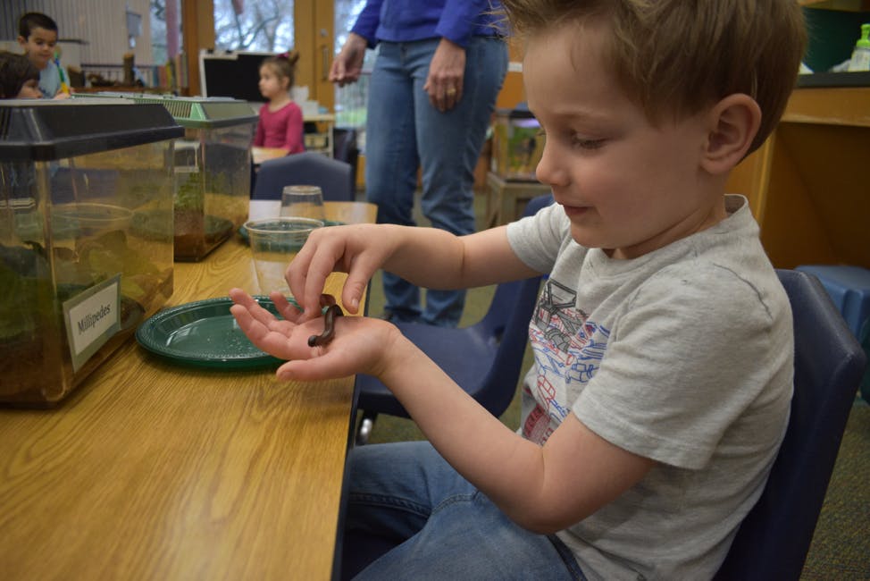 Child holding a small creature in their hands