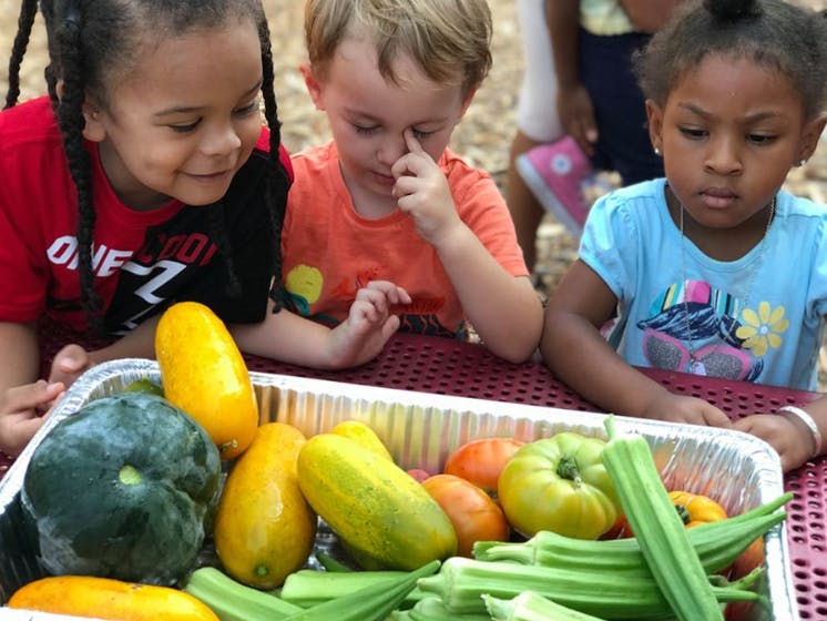 Three children looking at a tray of fresh vegetables