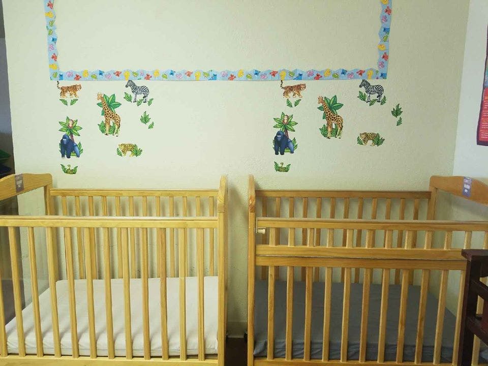 Two wooden cribs in a room with animal wall decals