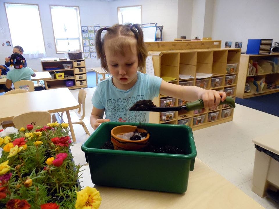 Child holding a trowel with soil over a green planter in a classroom
