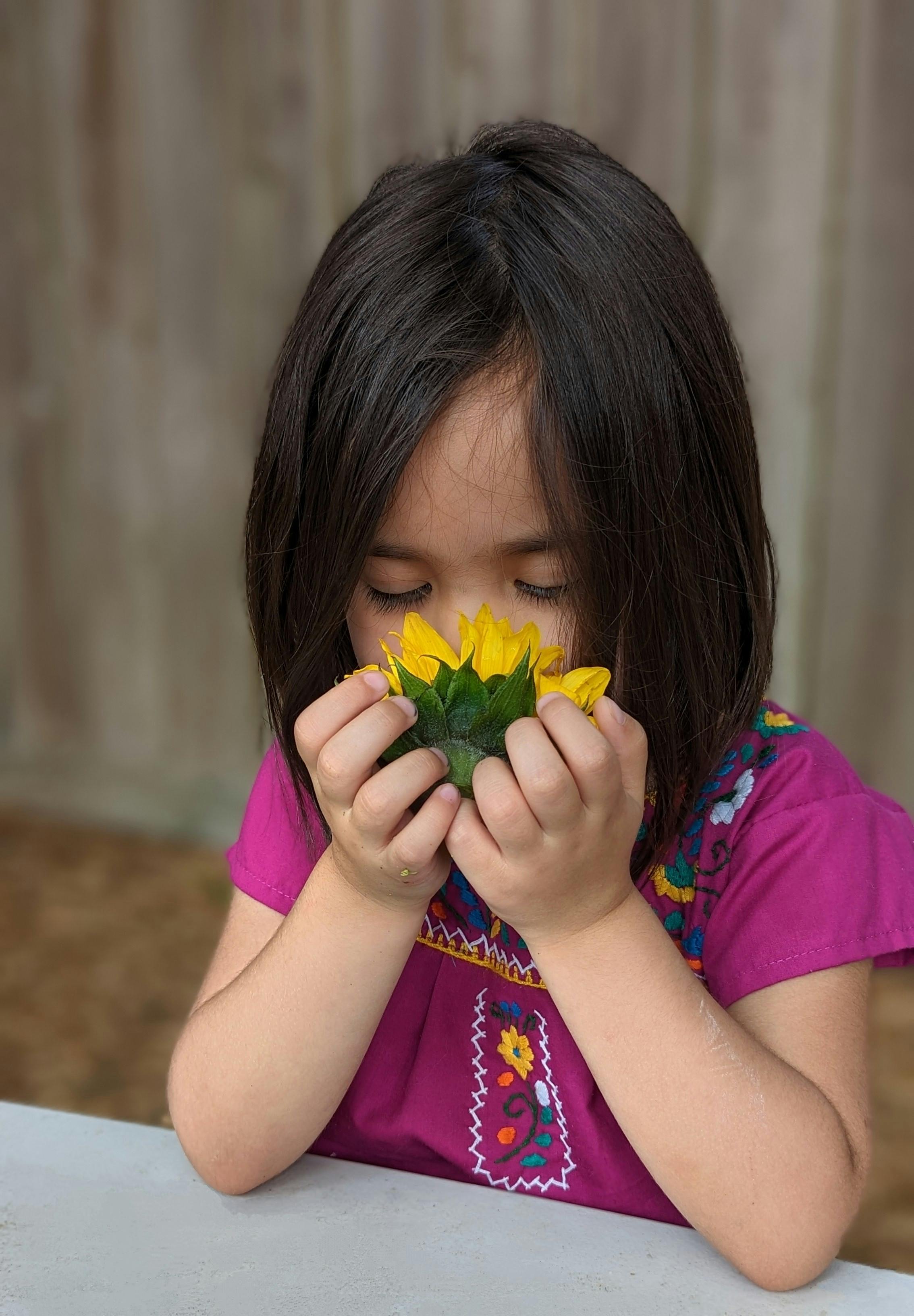 Child holding a sunflower to their face