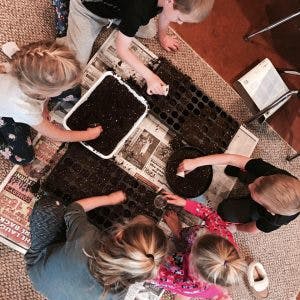 Children planting seeds in trays