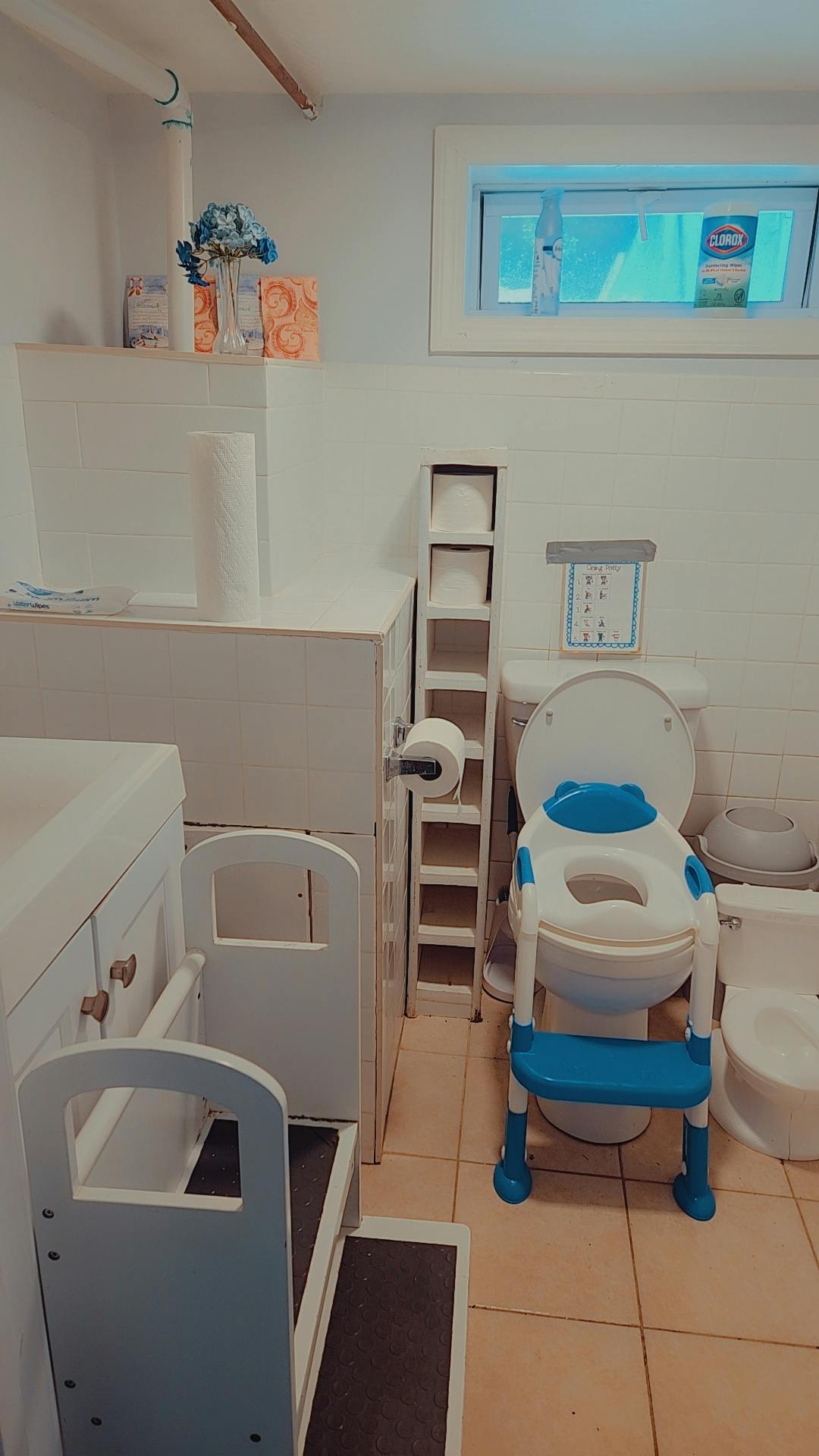 Potty training toilet seat with steps next to a regular toilet