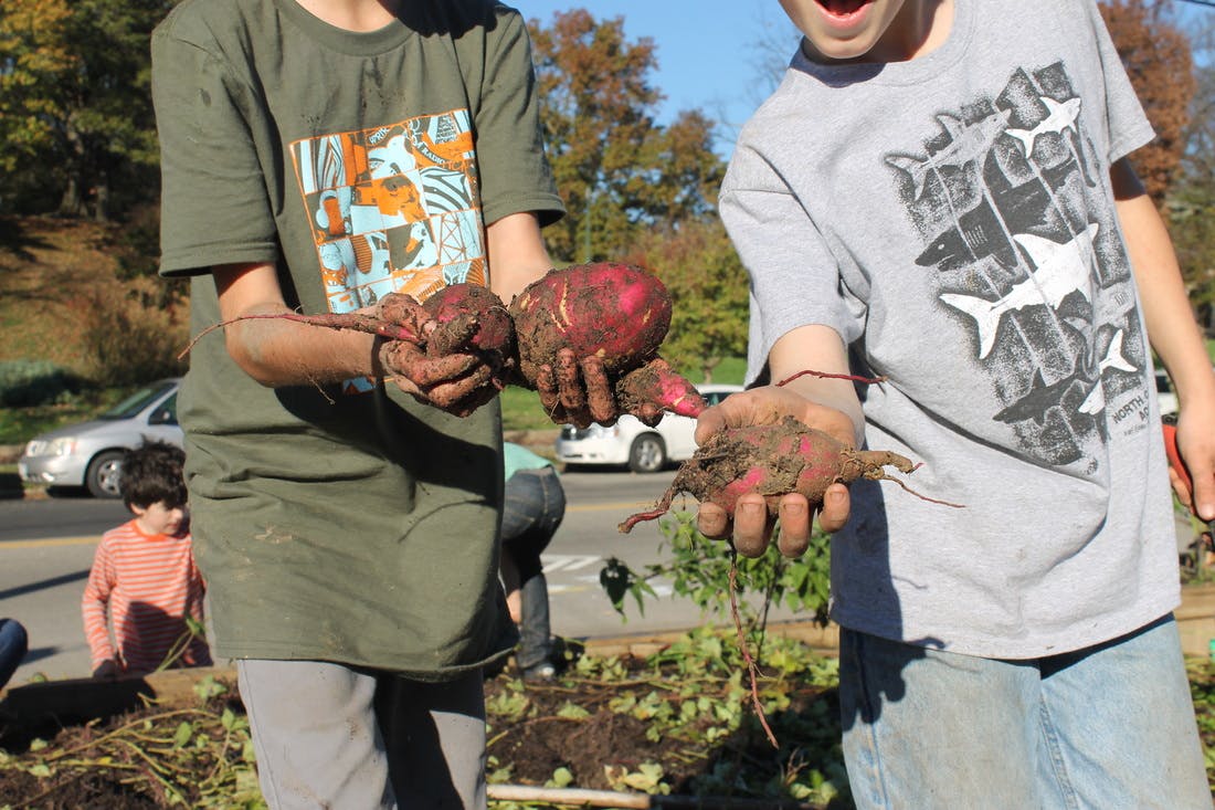 Two children holding freshly harvested root vegetables