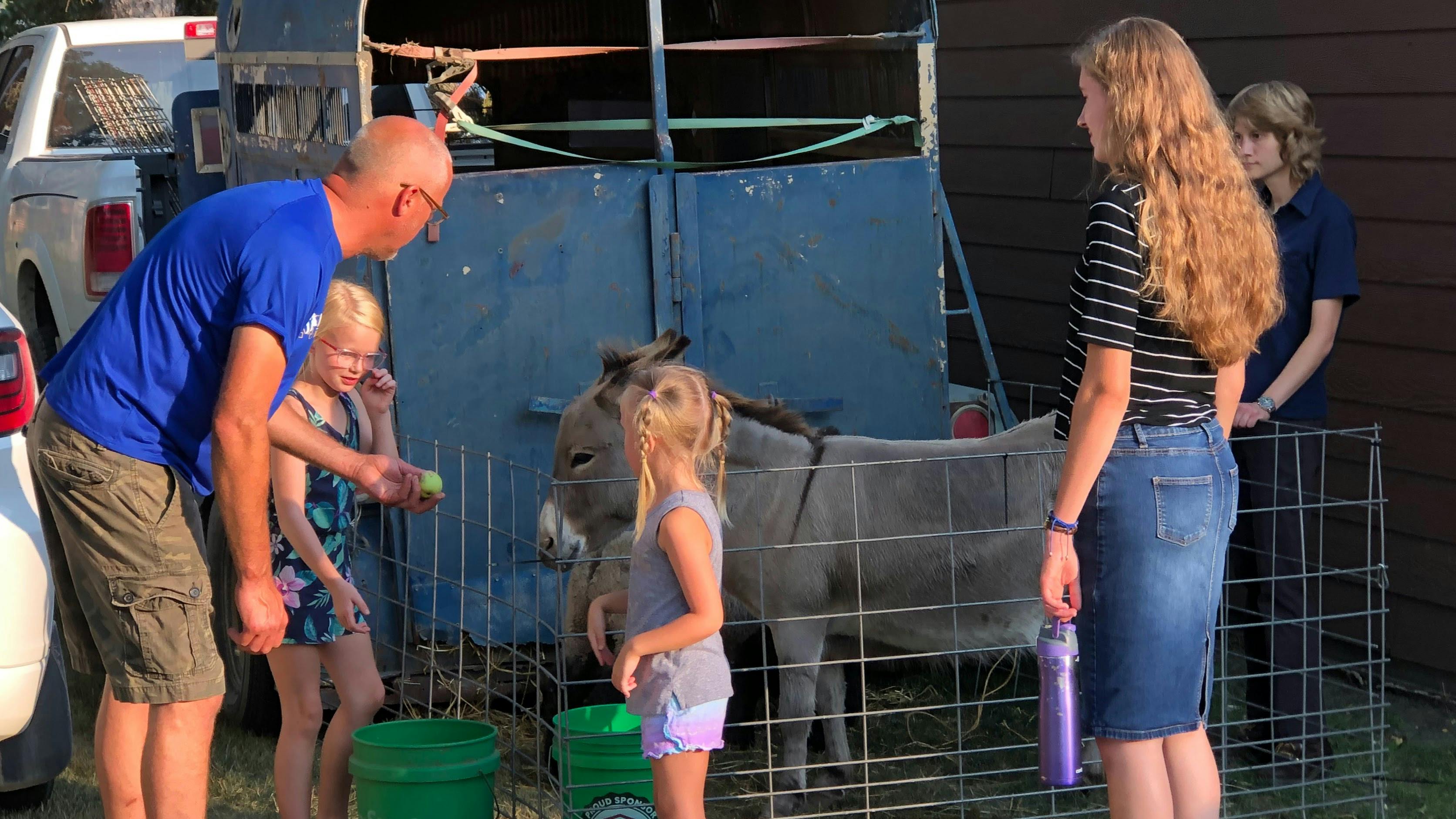 People and children interacting with a donkey in a pen
