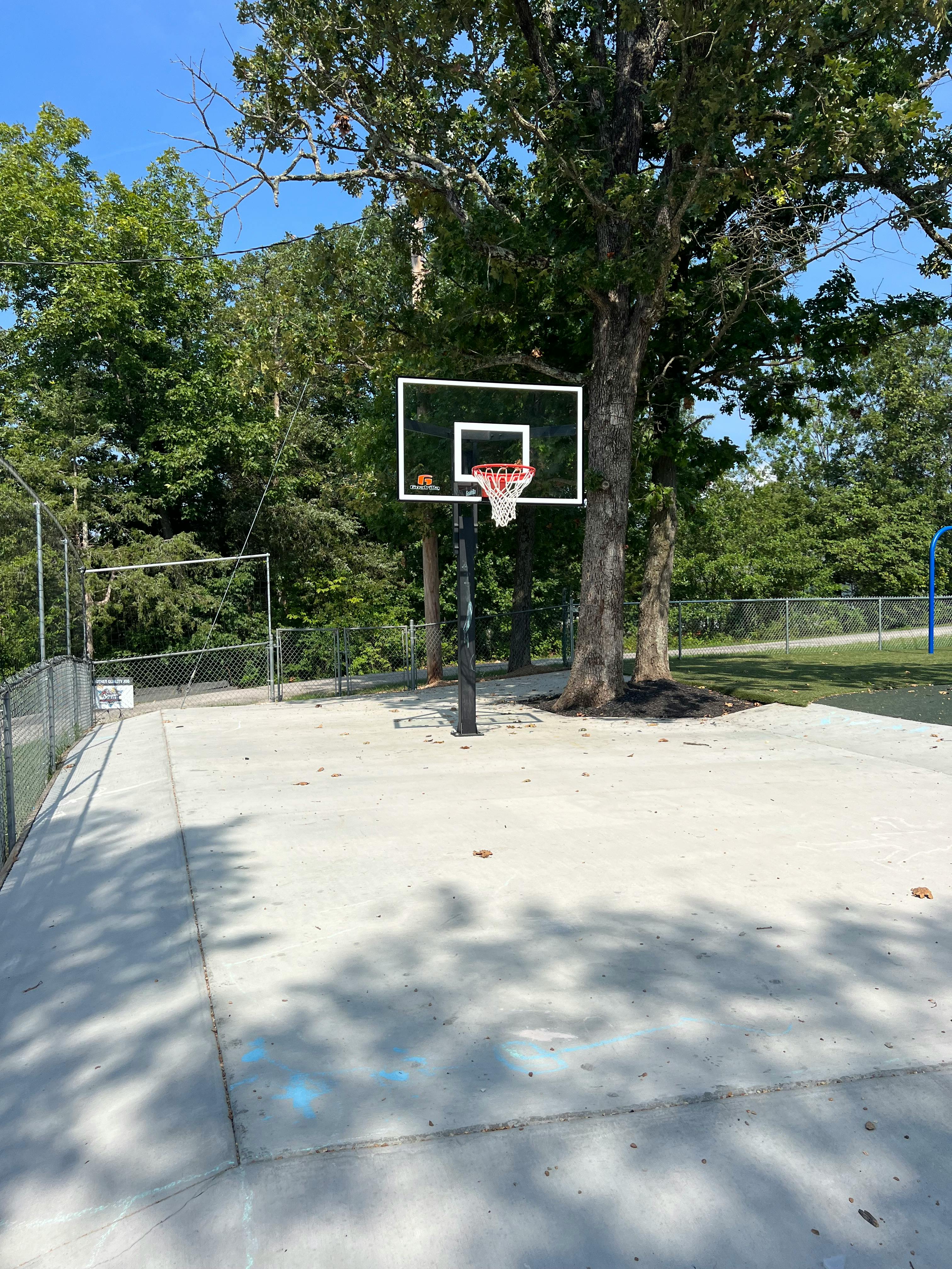Basketball hoop on a concrete court next to a large tree