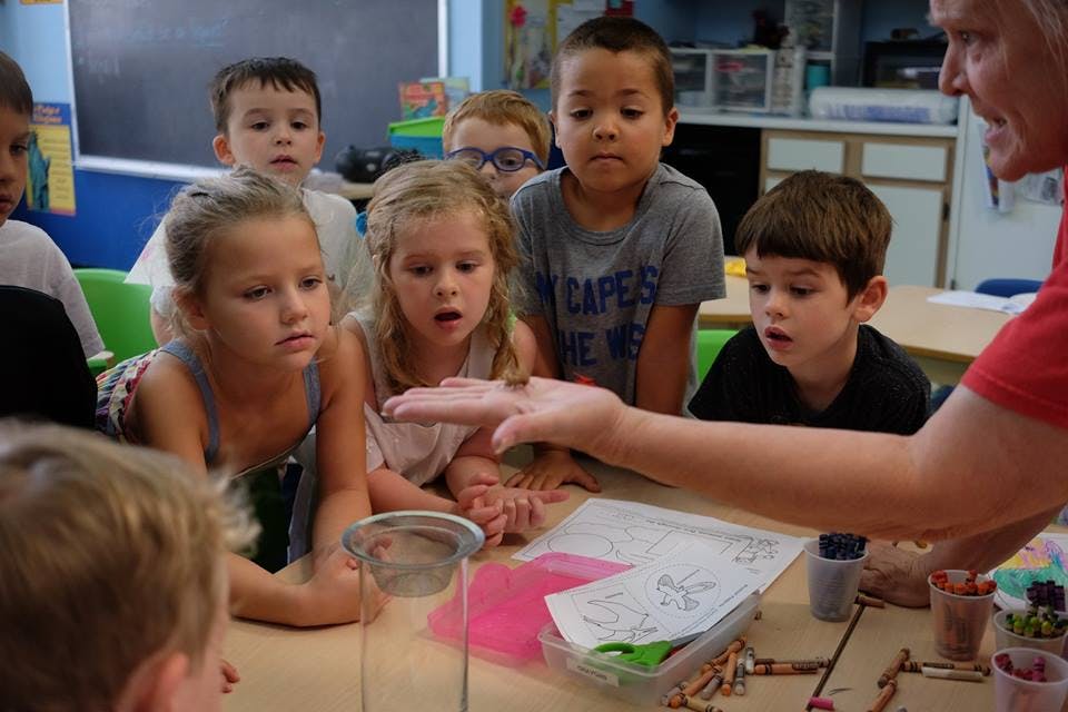 Children gathered around a person's hand with a small insect on it