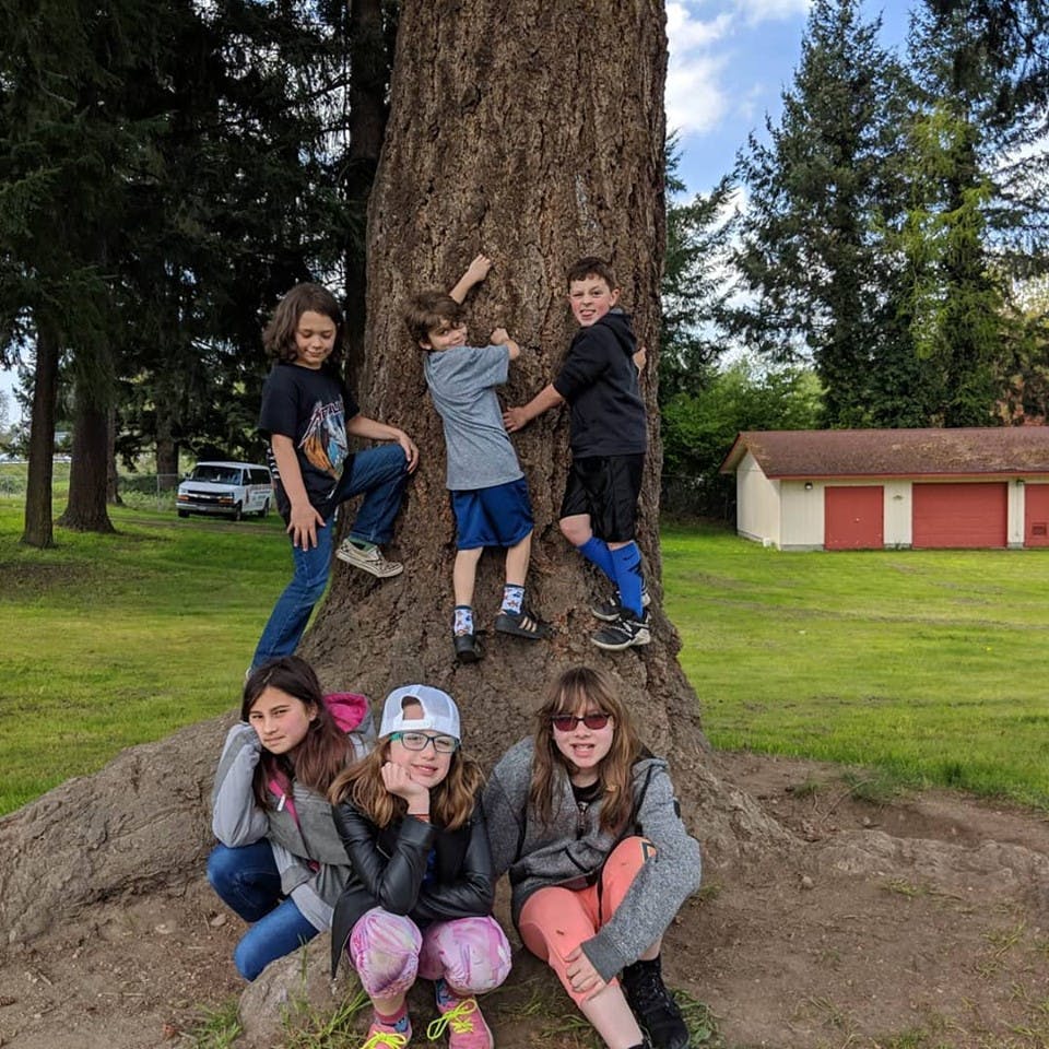 Children climbing and sitting on a large tree trunk