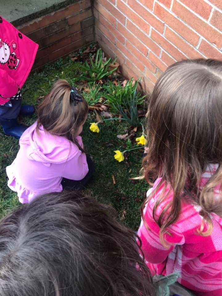 Children looking at yellow flowers in grass next to a brick wall