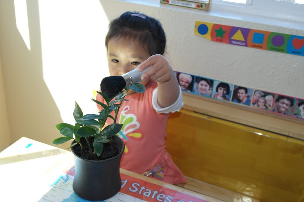 Child watering a potted plant