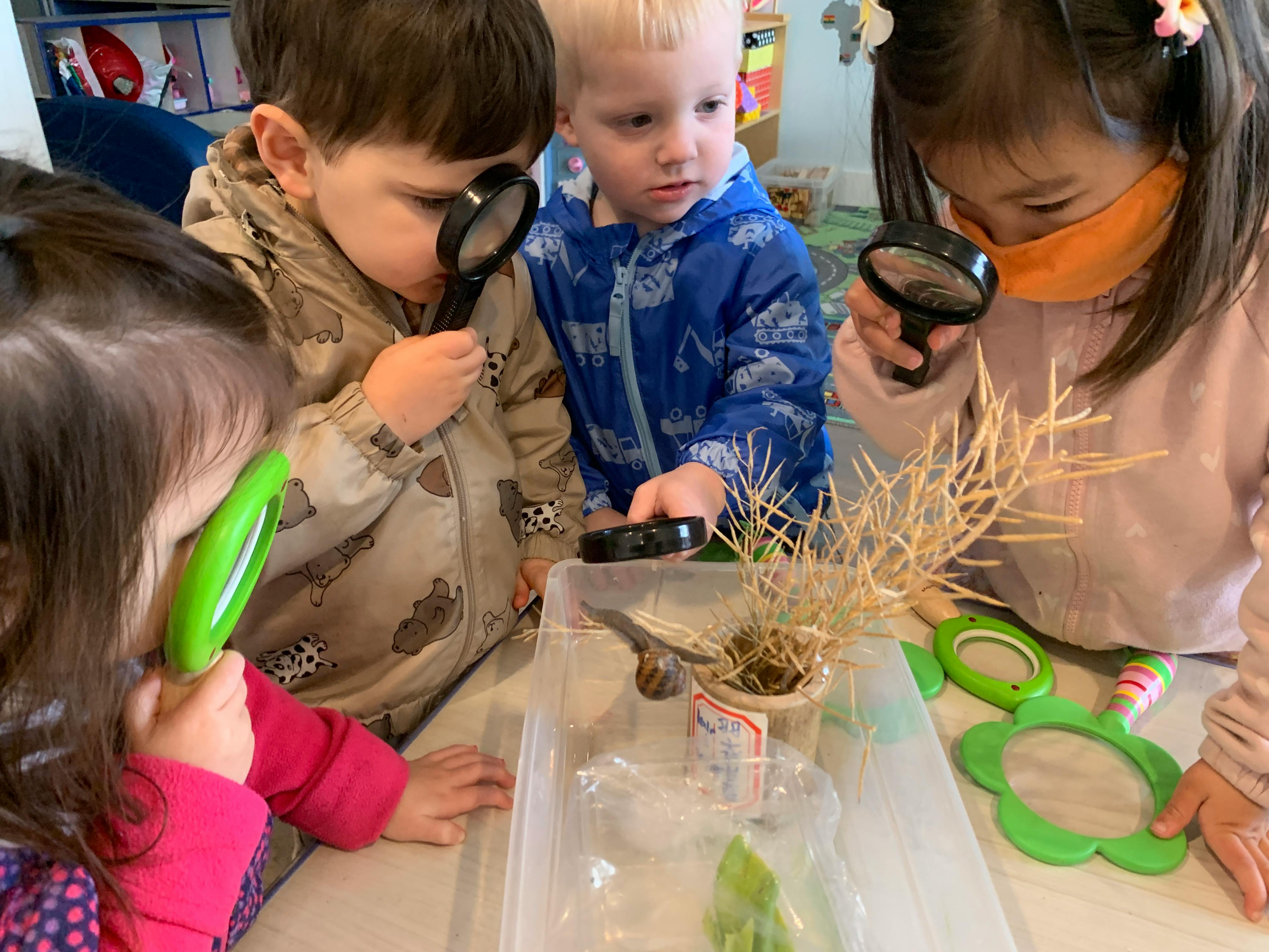 Children looking at an insect habitat with magnifying glasses