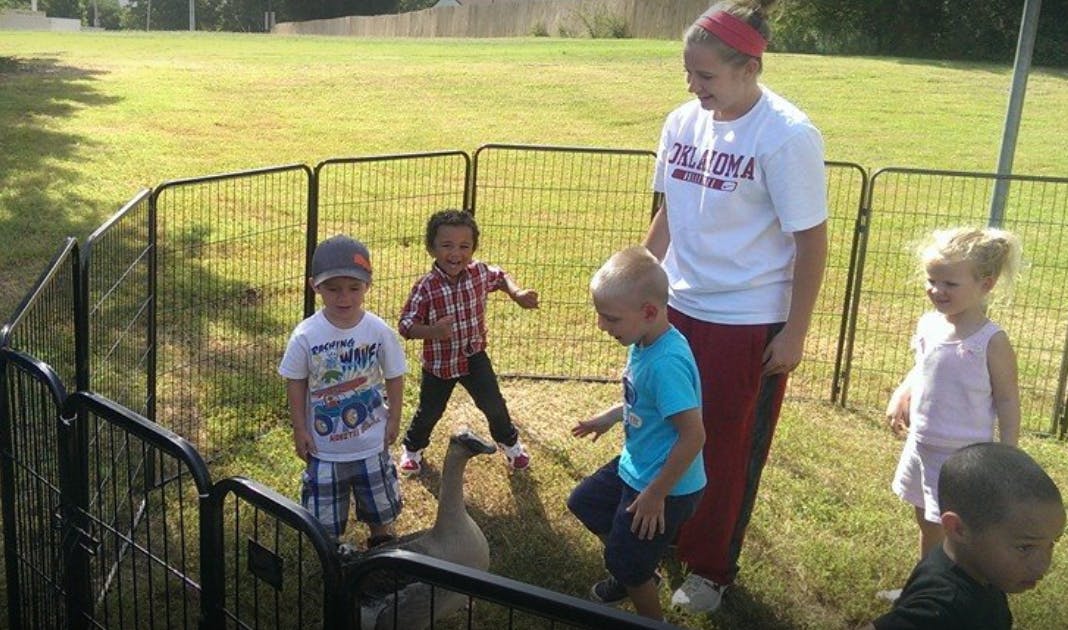 Adult and children interacting with a goose in a fenced area