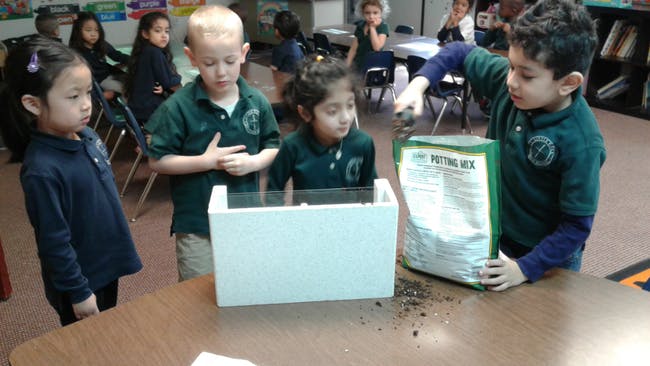 Children in a classroom pouring soil from a bag into a container