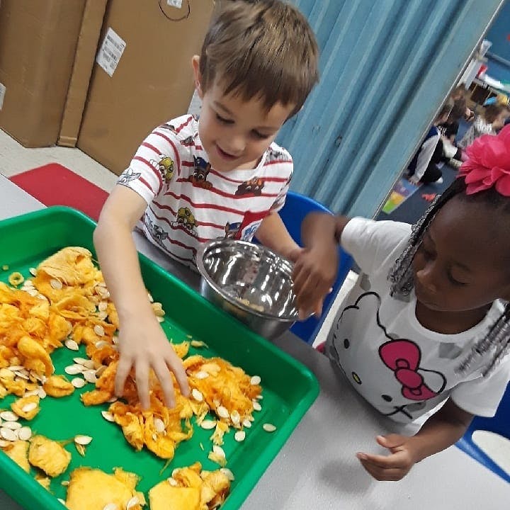Two children scooping pumpkin guts and seeds from a green tray into a bowl